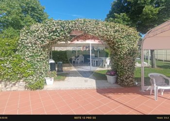 Terrazza - Agriturismo Contrada Carpine
 
SNC, Bovino - foto 123