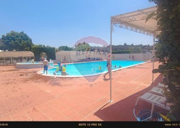 Piscina - Agriturismo Contrada Carpine
 
SNC, Bovino - foto 126