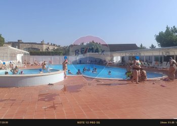 Piscina - Agriturismo Contrada Carpine
 
SNC, Bovino - foto 127