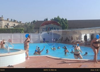 Piscina - Agriturismo Contrada Carpine
 
SNC, Bovino - foto 53