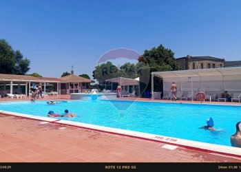 Piscina - Agriturismo Contrada Carpine
 
SNC, Bovino - foto 1