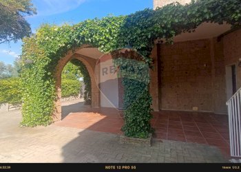 Terrazza - Agriturismo Contrada Carpine
 
SNC, Bovino - foto 131