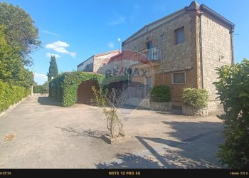 Edificio all\'aperto - Agriturismo Contrada Carpine
 
SNC, Bovino - foto 132