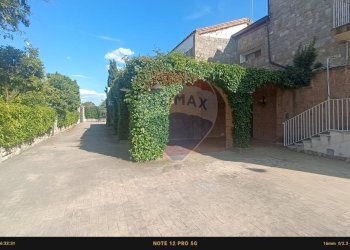 Edificio all\'aperto - Agriturismo Contrada Carpine
 
SNC, Bovino - foto 133