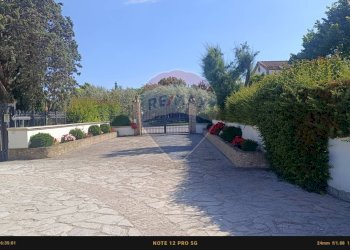 Terrazza - Agriturismo Contrada Carpine
 
SNC, Bovino - foto 139