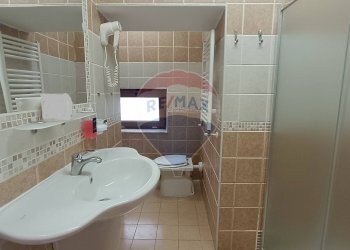 Bagno - Agriturismo Contrada Carpine
 
SNC, Bovino - foto 141