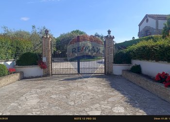 Terrazza - Agriturismo Contrada Carpine
 
SNC, Bovino - foto 144