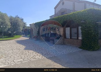 Edificio all\'aperto - Agriturismo Contrada Carpine
 
SNC, Bovino - foto 147