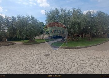 Giardino - Agriturismo Contrada Carpine
 
SNC, Bovino - foto 151