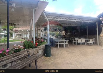 Terrazza - Agriturismo Contrada Carpine
 
SNC, Bovino - foto 154