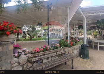 Giardino - Agriturismo Contrada Carpine
 
SNC, Bovino - foto 155