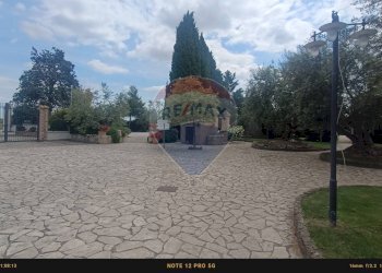 Terrazza - Agriturismo Contrada Carpine
 
SNC, Bovino - foto 158