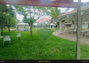 Giardino - Agriturismo Contrada Carpine
 
SNC, Bovino - foto 160