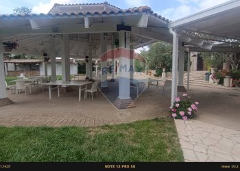 Terrazza - Agriturismo Contrada Carpine
 
SNC, Bovino - foto 161