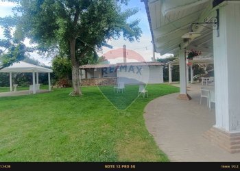 Giardino - Agriturismo Contrada Carpine
 
SNC, Bovino - foto 164