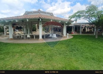 Casa all\'aperto - Agriturismo Contrada Carpine
 
SNC, Bovino - foto 165