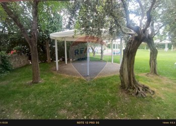 Giardino - Agriturismo Contrada Carpine
 
SNC, Bovino - foto 168