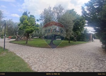 Giardino - Agriturismo Contrada Carpine
 
SNC, Bovino - foto 170