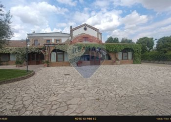 Casa all\'aperto - Agriturismo Contrada Carpine
 
SNC, Bovino - foto 172