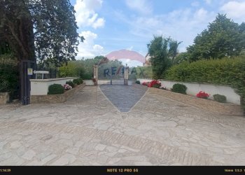 Terrazza - Agriturismo Contrada Carpine
 
SNC, Bovino - foto 174