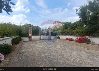 Terrazza - Agriturismo Contrada Carpine
 
SNC, Bovino - foto 175