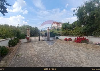 Terrazza - Agriturismo Contrada Carpine
 
SNC, Bovino - foto 176