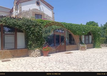 Casa all\'aperto - Agriturismo Contrada Carpine
 
SNC, Bovino - foto 177