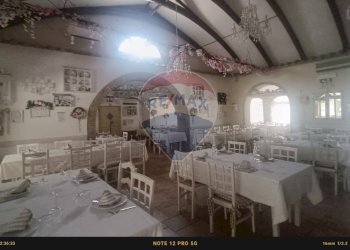 Sala da pranzo - Agriturismo Contrada Carpine
 
SNC, Bovino - foto 178