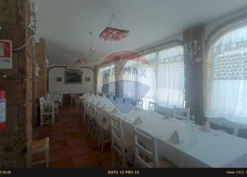 Sala da pranzo - Agriturismo Contrada Carpine
 
SNC, Bovino - foto 179