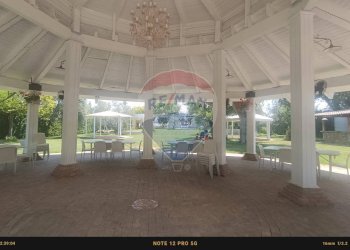 Terrazza - Agriturismo Contrada Carpine
 
SNC, Bovino - foto 180