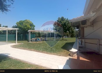 Giardino - Agriturismo Contrada Carpine
 
SNC, Bovino - foto 181