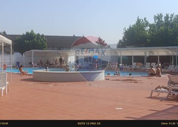 Terrazza - Agriturismo Contrada Carpine
 
SNC, Bovino - foto 185