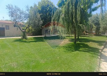 Giardino - Agriturismo Contrada Carpine
 
SNC, Bovino - foto 186