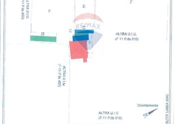Pianta 2D - Agriturismo Contrada Carpine
 
SNC, Bovino - foto 189