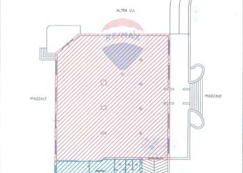 Pianta 2D - Agriturismo Contrada Carpine
 
SNC, Bovino - foto 201