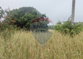 Giardino - Terreno edificabile Astolella, Santa Maria a Vico - foto 6