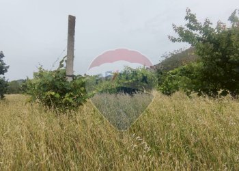 Giardino - Terreno edificabile Astolella, Santa Maria a Vico - foto 13