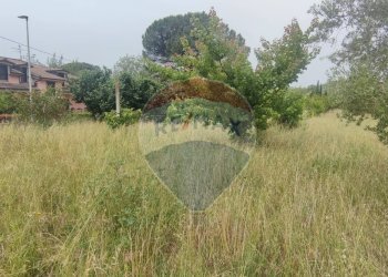 Giardino - Terreno edificabile Astolella, Santa Maria a Vico - foto 16