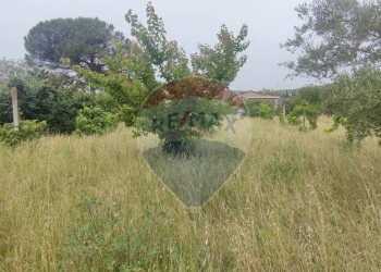 Giardino - Terreno edificabile Astolella
 
2, Santa Maria a Vico - foto 9