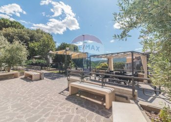 Terrazza - Bar Tavola Calda - Fredda Via di Tarquinia, Canino - foto 14