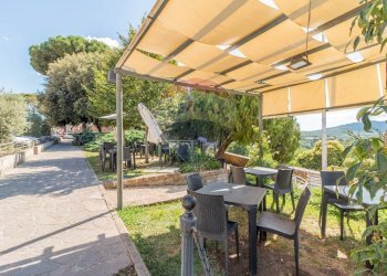 Terrazza - Bar Tavola Calda - Fredda Via di Tarquinia, Canino - foto 19