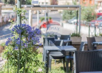 Dettagli - Bar Tavola Calda - Fredda Via di Tarquinia, Canino - foto 21