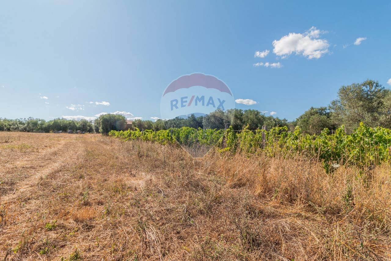 Vista delle montagne - Agricultural land Canino - photo 2