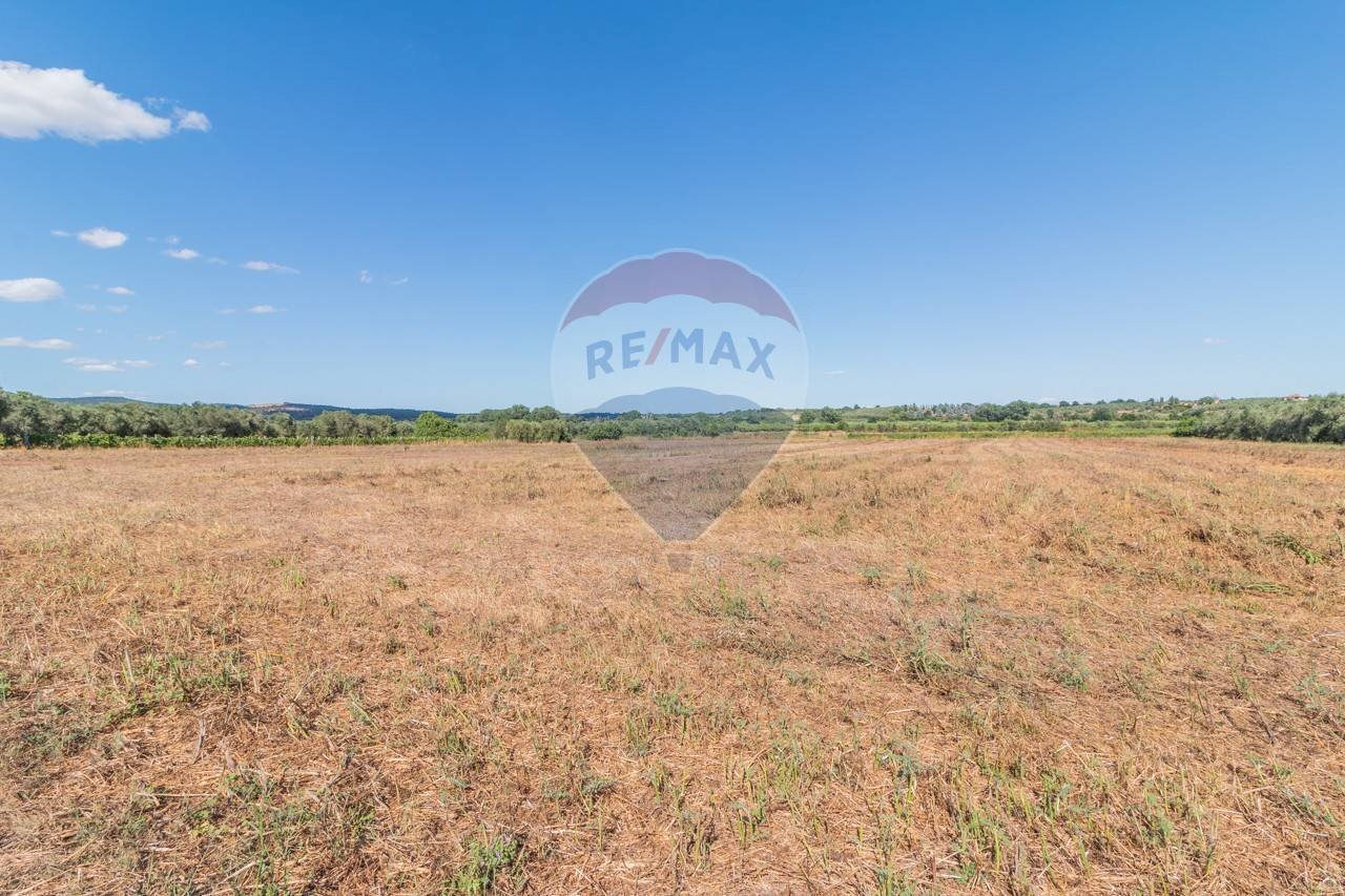 Giardino - Agricultural land Canino - photo 1