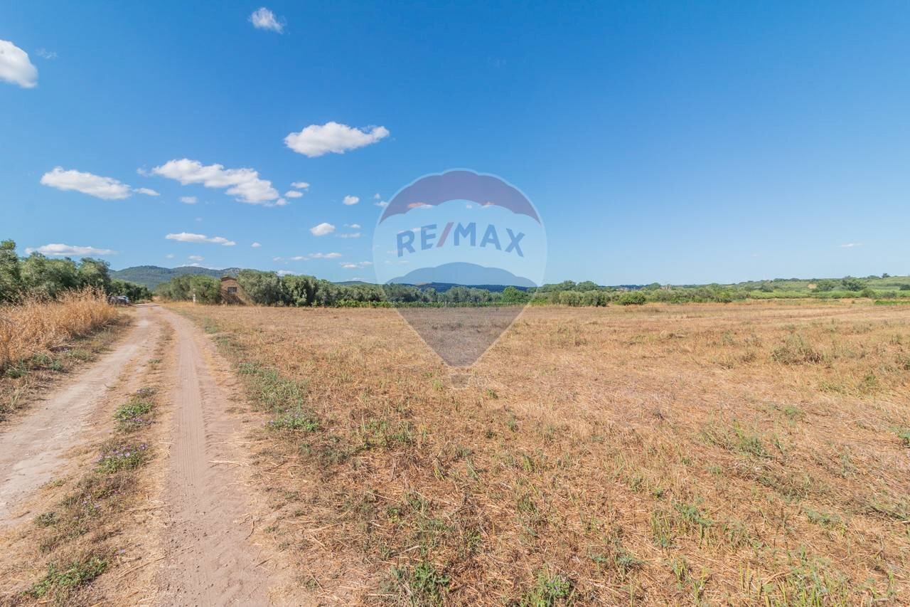 Vista delle montagne - Agricultural land Canino - photo 3