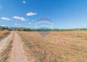 Vista delle montagne - Terreno agricolo Canino - foto 3