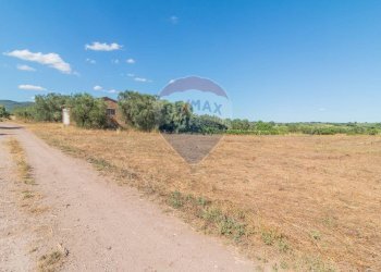 Vista delle montagne - Terreno agricolo Canino - foto 4