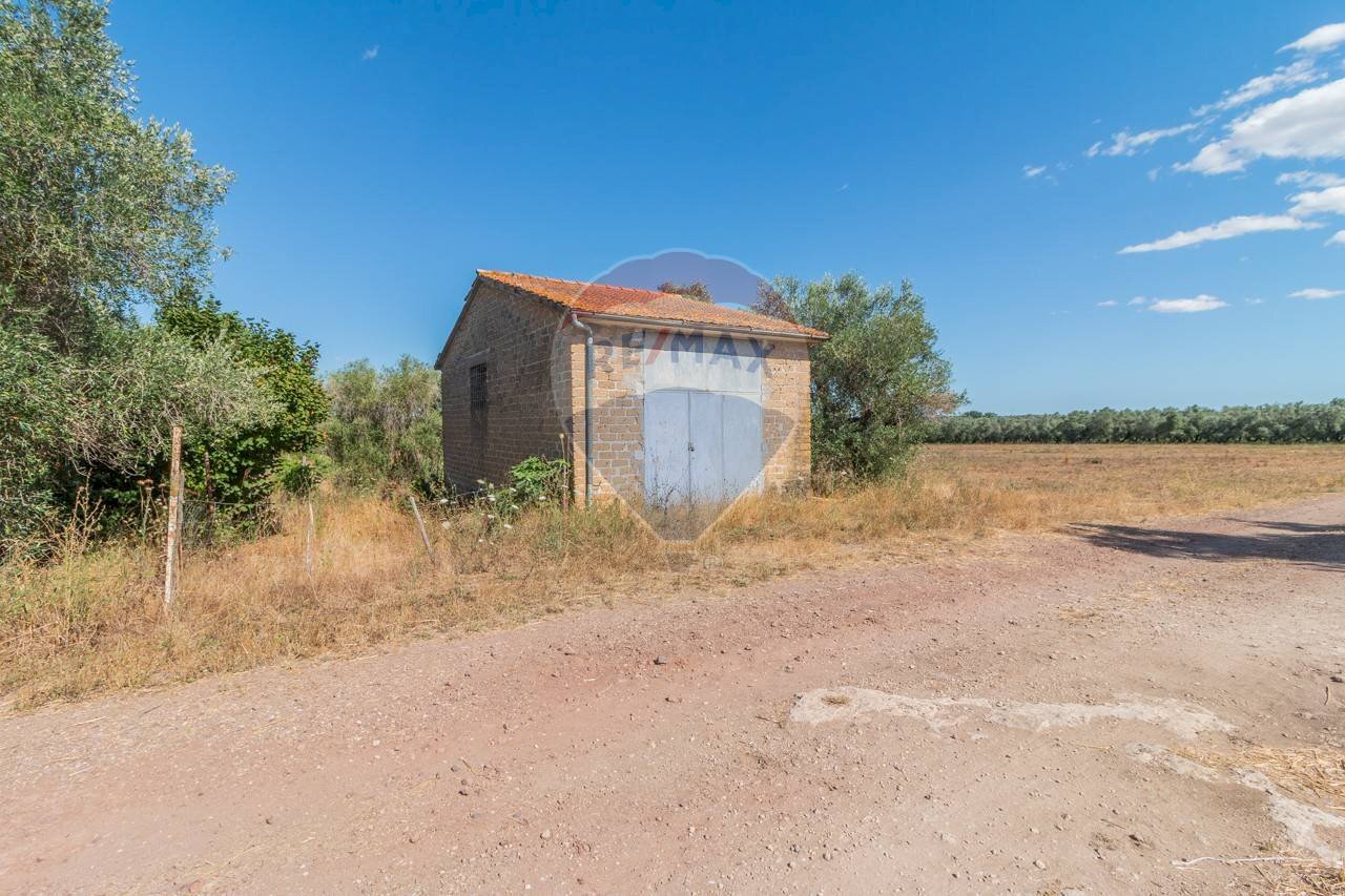 Casa all\'aperto - Agricultural land Canino - photo 3