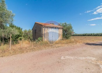 Casa all\'aperto - Terreno agricolo Canino - foto 3