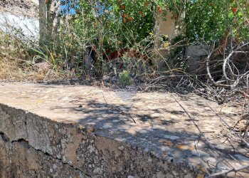 Giardino - Rustico contrada Tramostera
 
snc, Chiaramonte Gulfi - foto 8